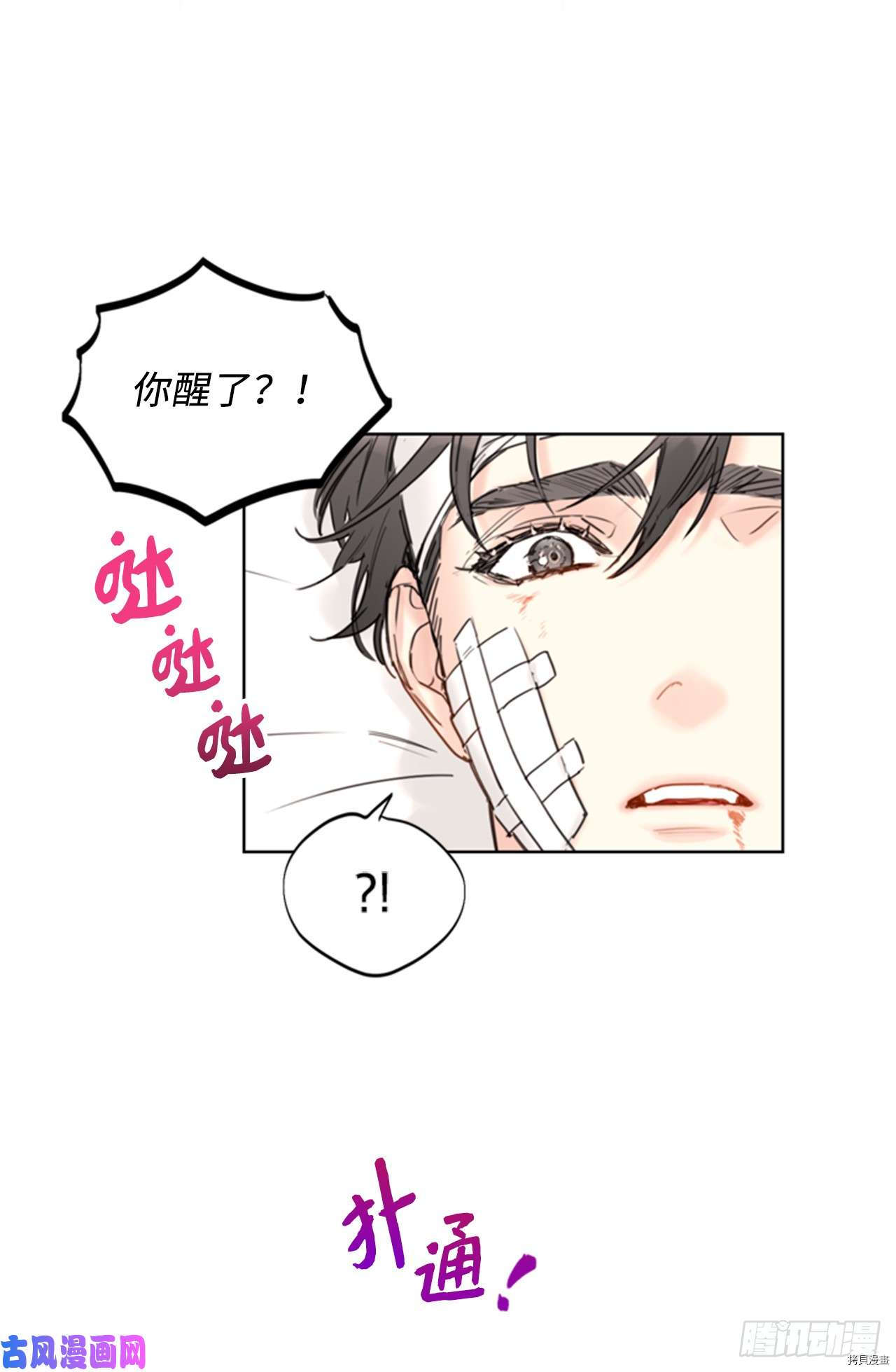 我和总裁相了个亲[拷贝漫画]韩漫全集-第95话无删减无遮挡章节图片 