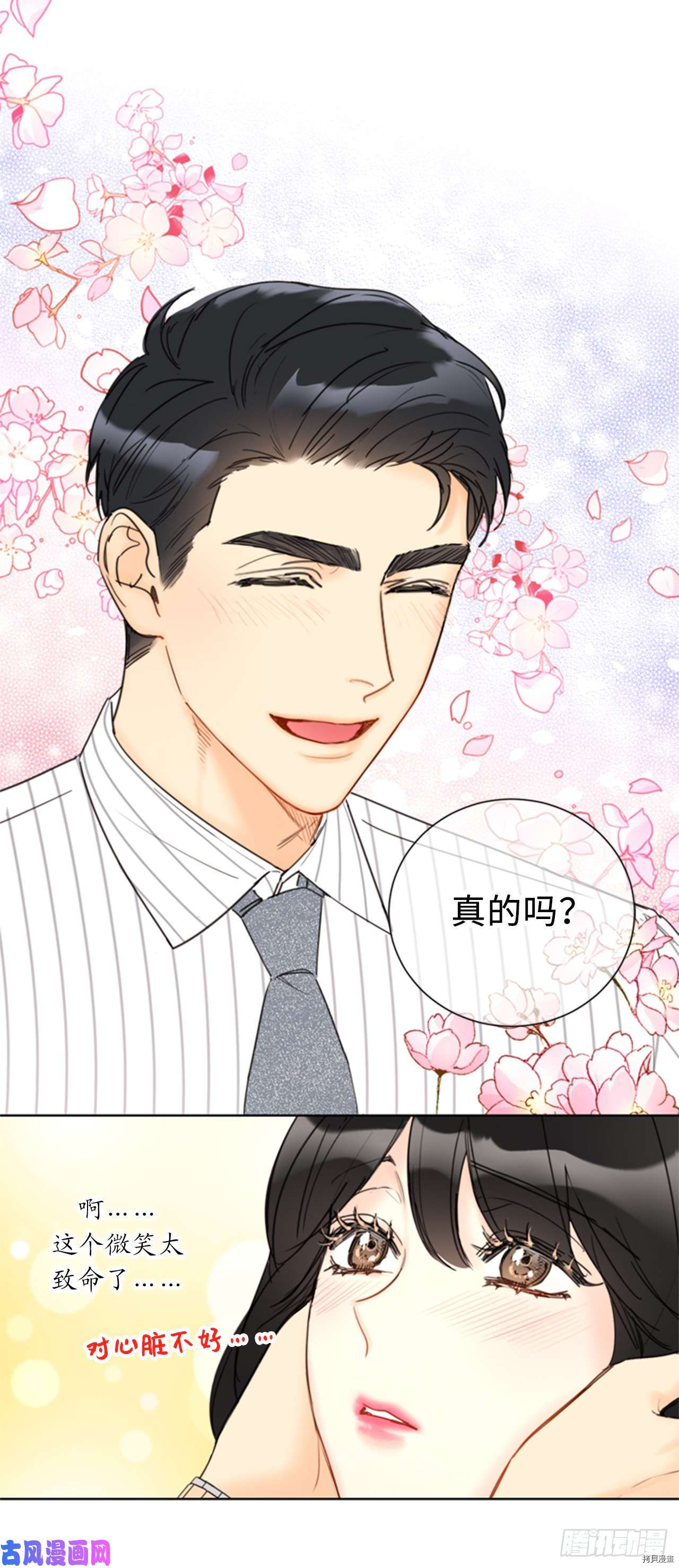 我和总裁相了个亲[拷贝漫画]韩漫全集-第97话无删减无遮挡章节图片 