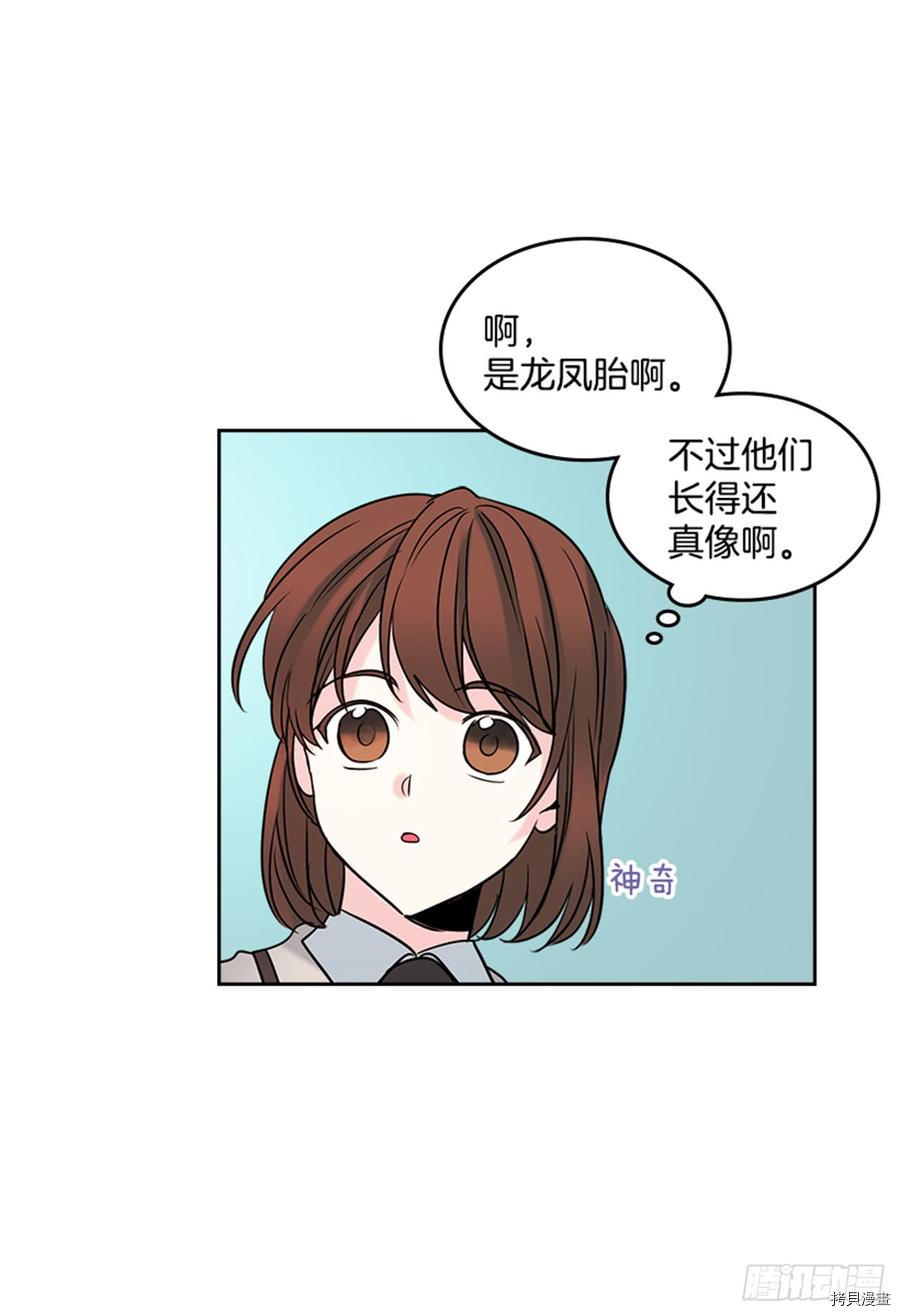 网络小说的法则[拷贝漫画]韩漫全集-第32话无删减无遮挡章节图片 