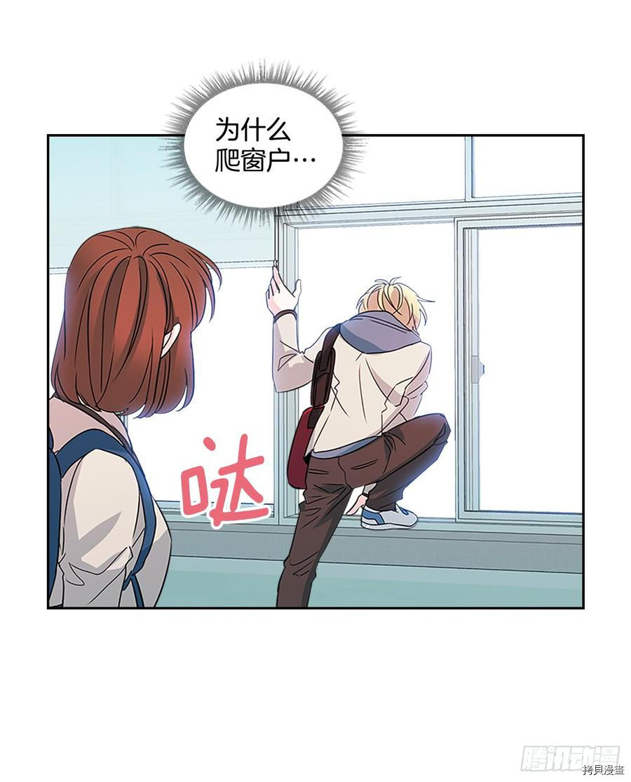 网络小说的法则[拷贝漫画]韩漫全集-第36话无删减无遮挡章节图片 