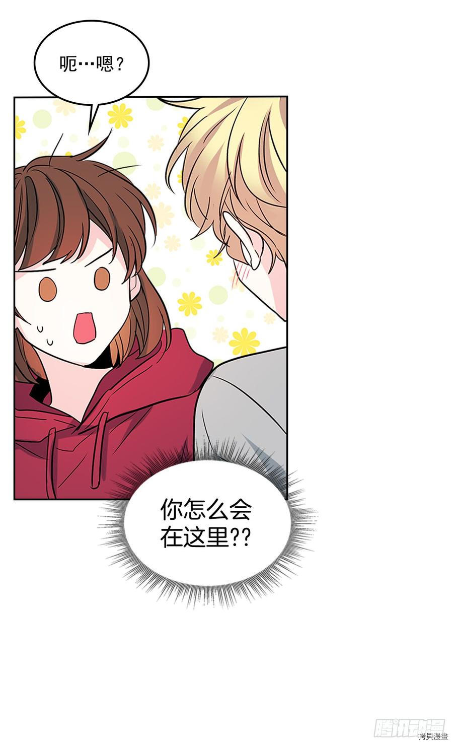 网络小说的法则[拷贝漫画]韩漫全集-第39话无删减无遮挡章节图片 