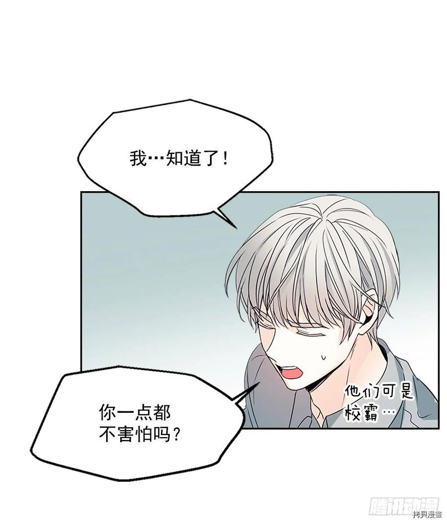 网络小说的法则[拷贝漫画]韩漫全集-第51话无删减无遮挡章节图片 