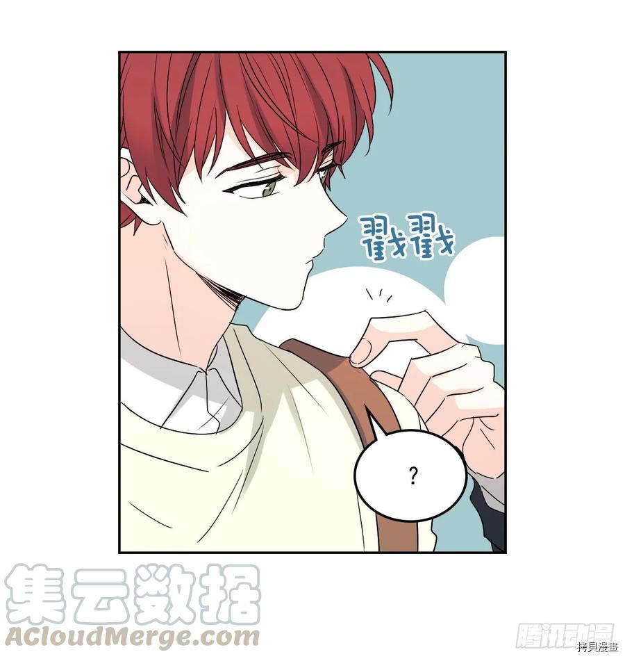 网络小说的法则[拷贝漫画]韩漫全集-第70话无删减无遮挡章节图片 