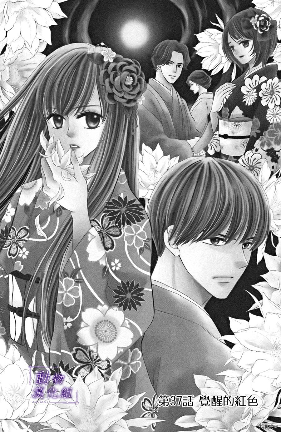 我们有点不对劲[拷贝漫画]韩漫全集-第37话无删减无遮挡章节图片 