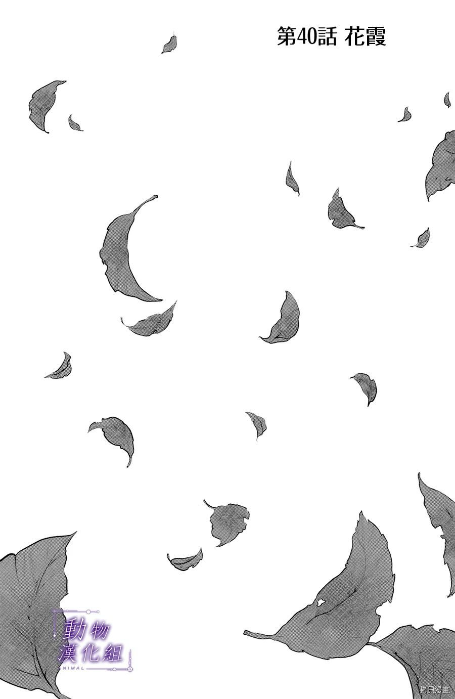 我们有点不对劲[拷贝漫画]韩漫全集-第40话无删减无遮挡章节图片 