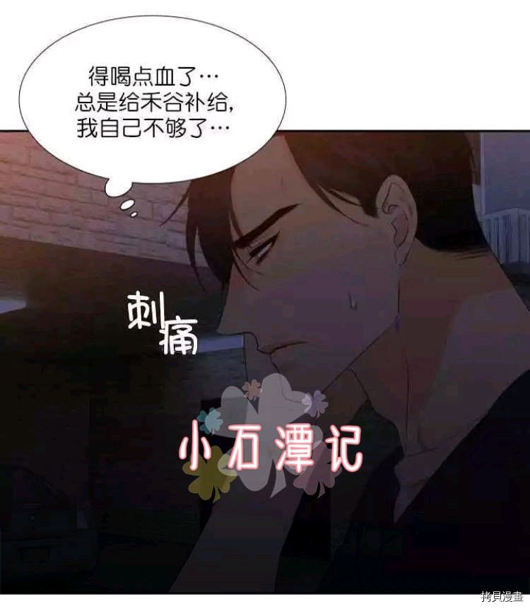 血缘纽带[拷贝漫画]韩漫全集-第19-20话无删减无遮挡章节图片 