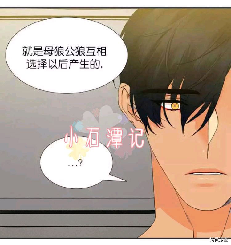 血缘纽带[拷贝漫画]韩漫全集-第19-20话无删减无遮挡章节图片 