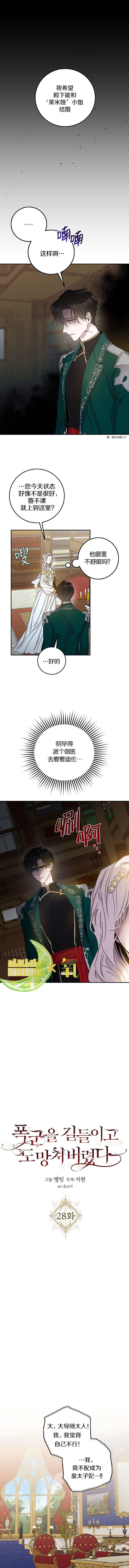 驯服暴君后逃跑[拷贝漫画]韩漫全集-第28话无删减无遮挡章节图片 