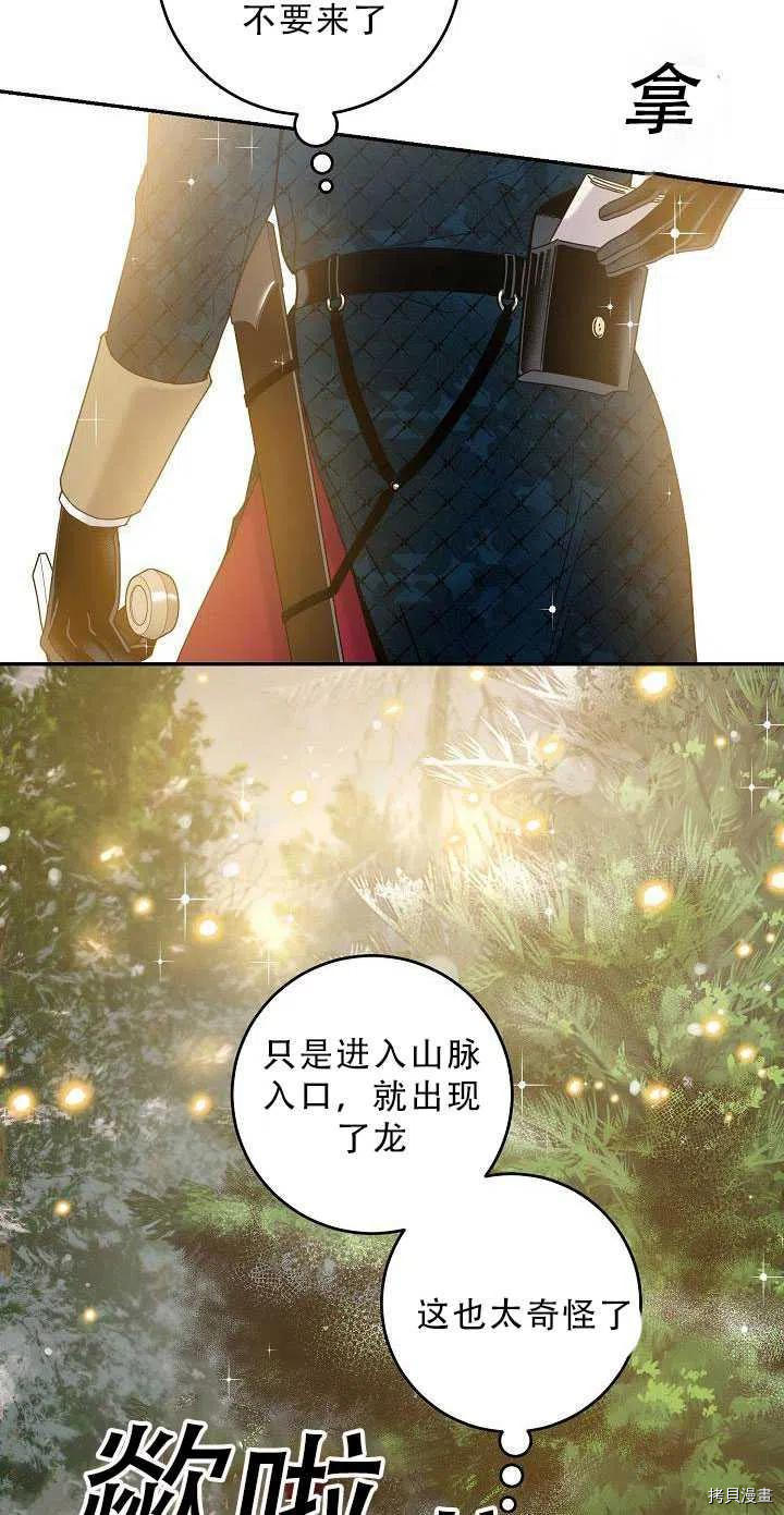 驯服暴君后逃跑[拷贝漫画]韩漫全集-第34话无删减无遮挡章节图片 