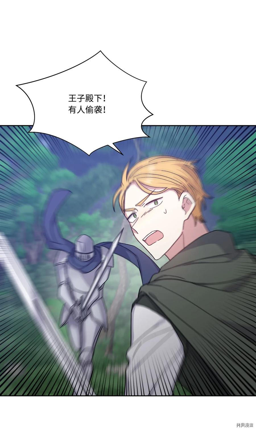 影子王冠[拷贝漫画]韩漫全集-第19话无删减无遮挡章节图片 