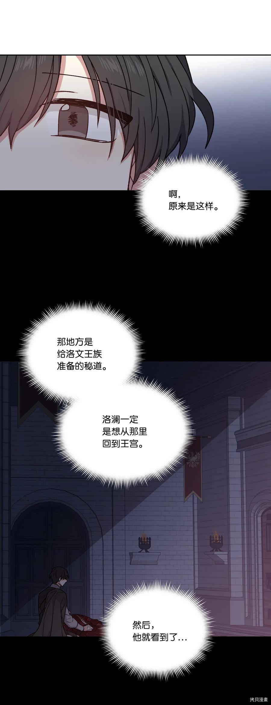 影子王冠[拷贝漫画]韩漫全集-第20话无删减无遮挡章节图片 