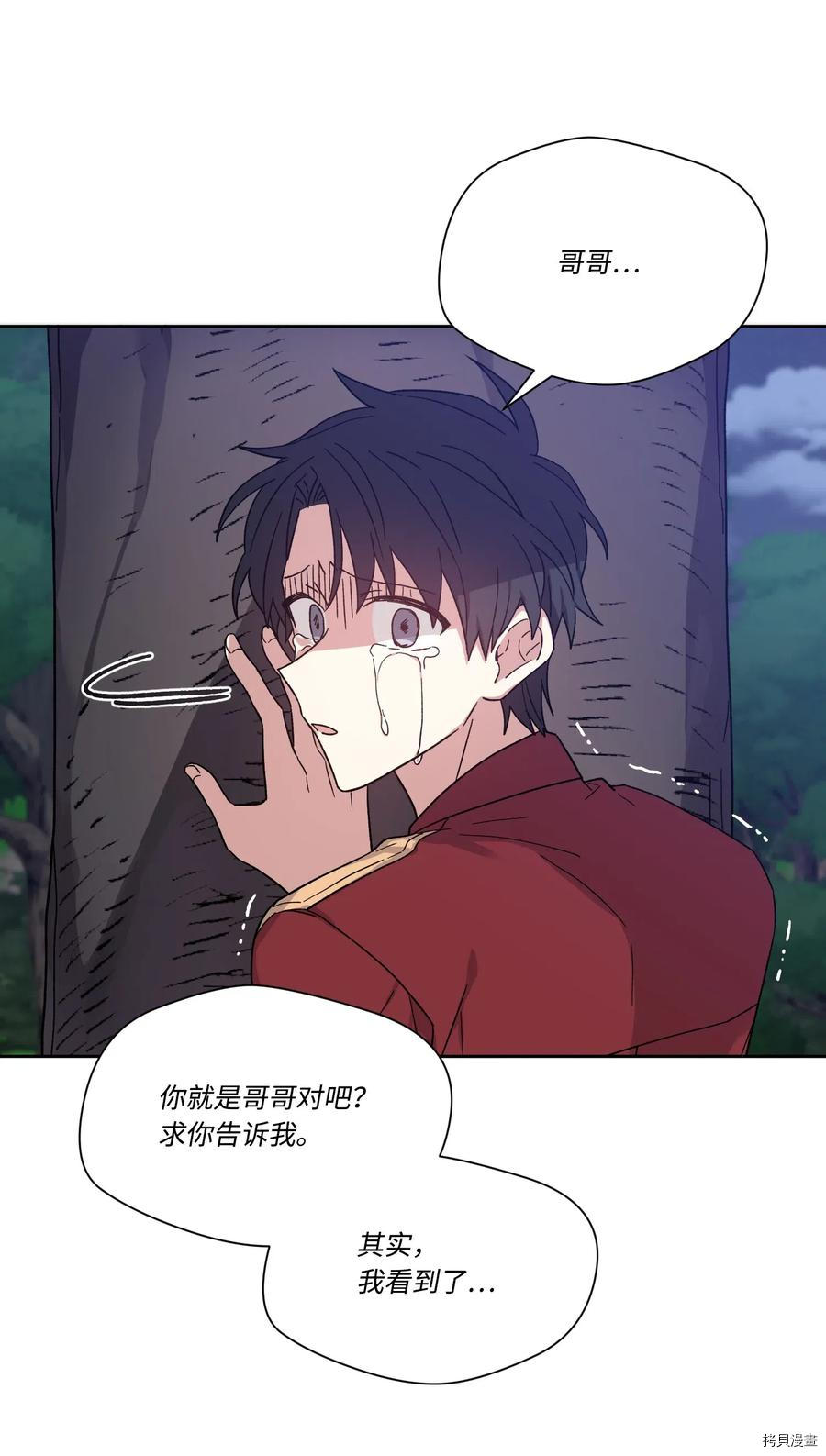 影子王冠[拷贝漫画]韩漫全集-第20话无删减无遮挡章节图片 