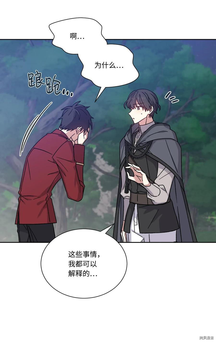 影子王冠[拷贝漫画]韩漫全集-第20话无删减无遮挡章节图片 