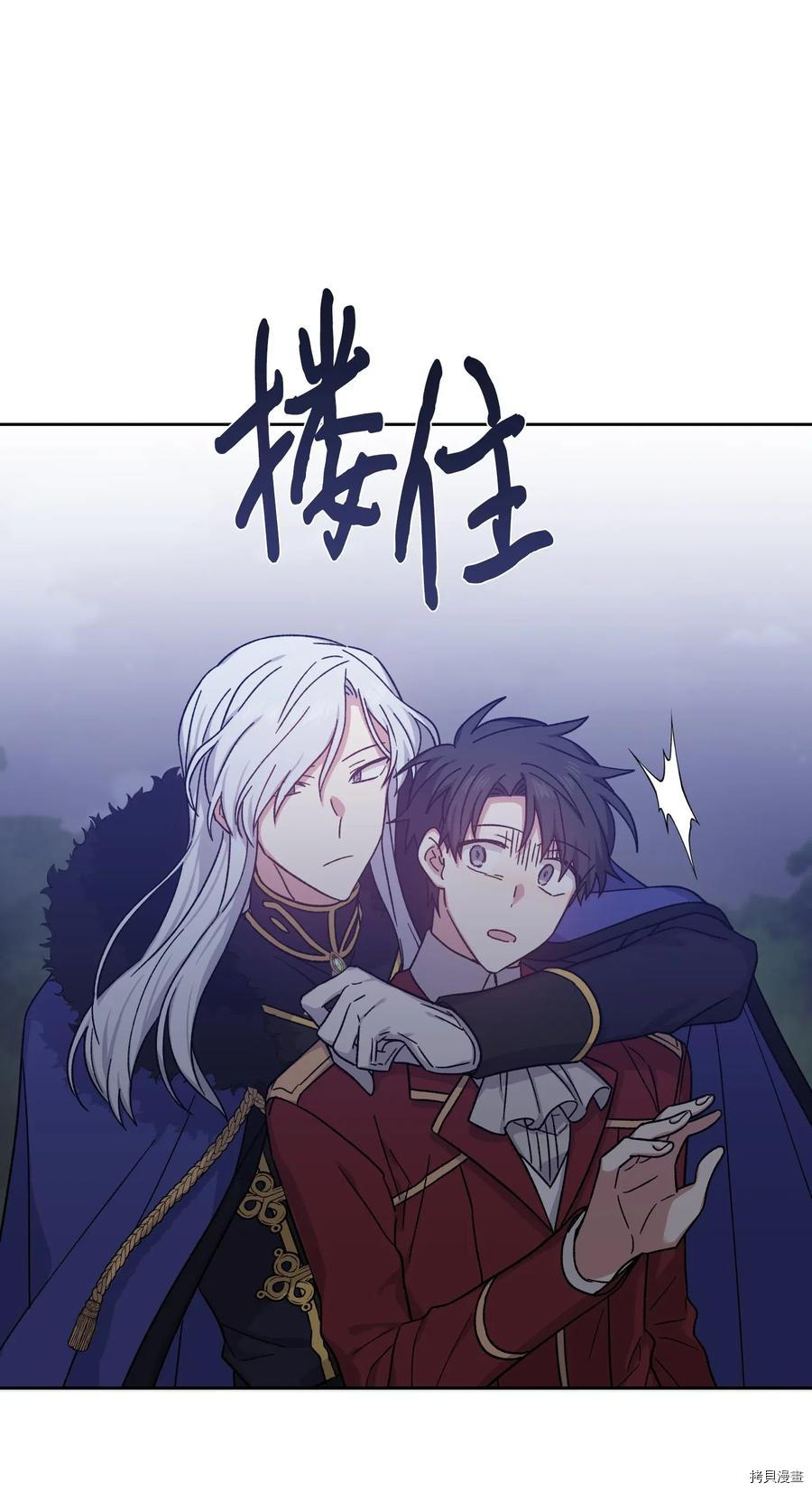 影子王冠[拷贝漫画]韩漫全集-第20话无删减无遮挡章节图片 