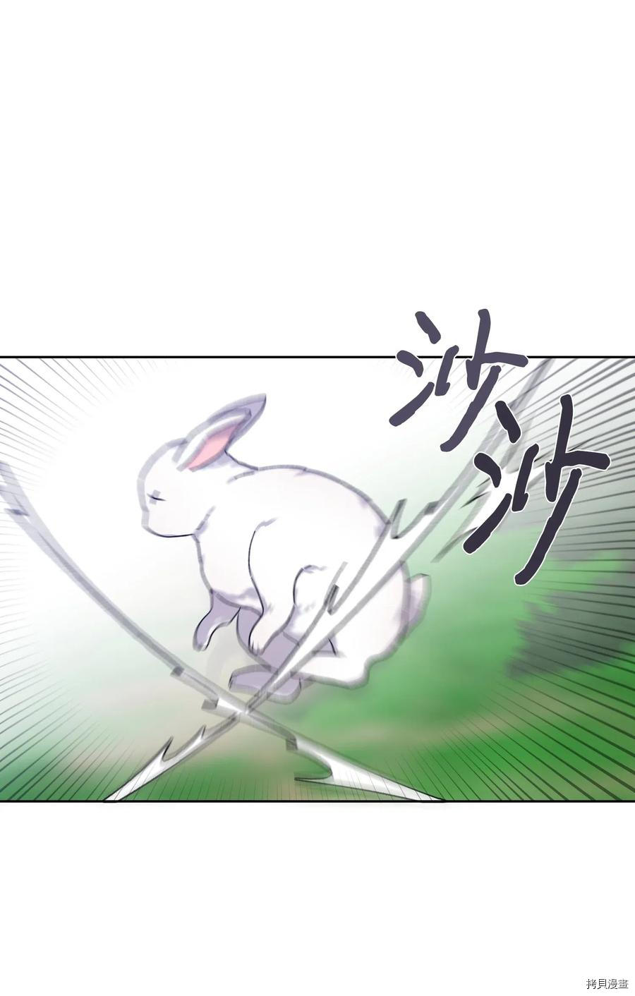影子王冠[拷贝漫画]韩漫全集-第22话无删减无遮挡章节图片 