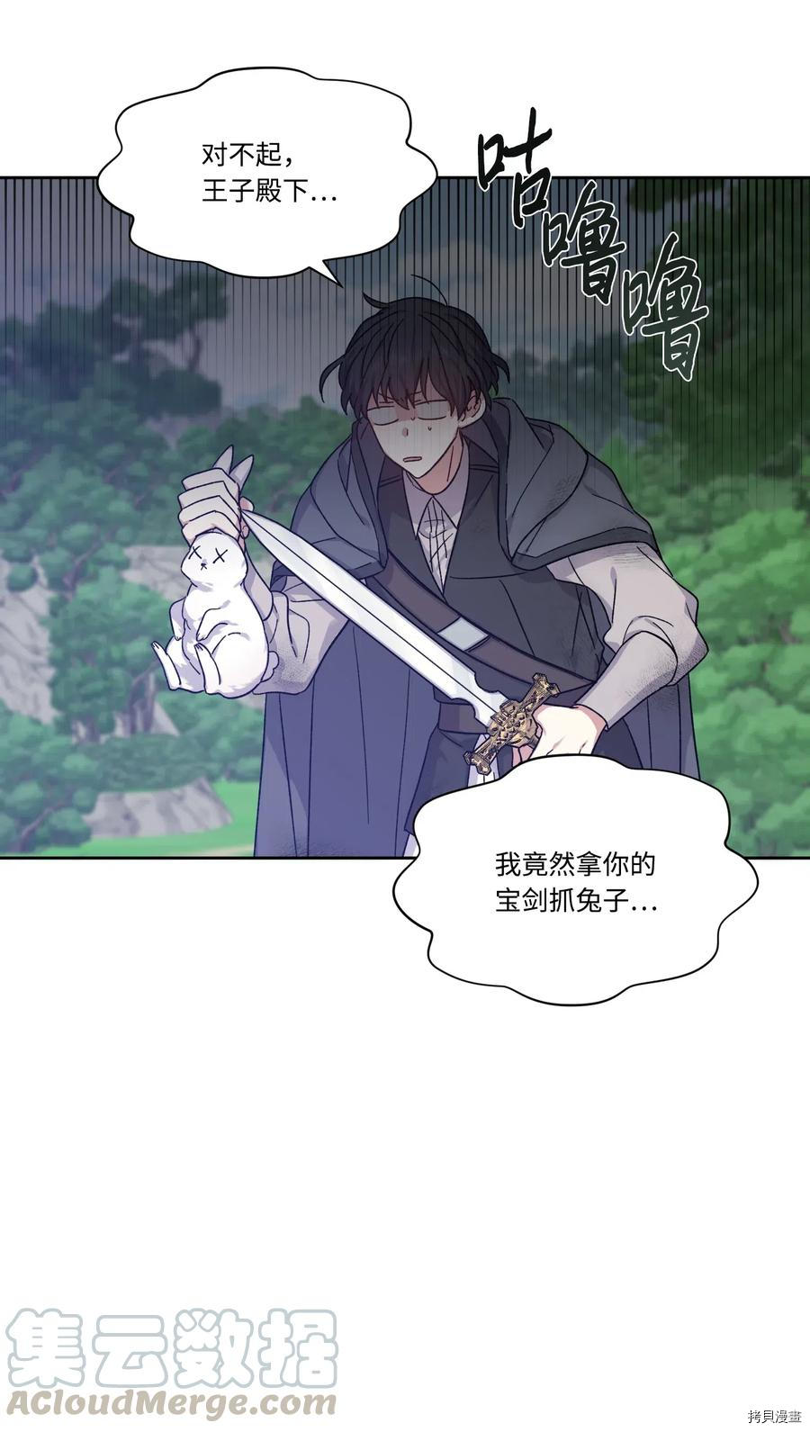影子王冠[拷贝漫画]韩漫全集-第22话无删减无遮挡章节图片 