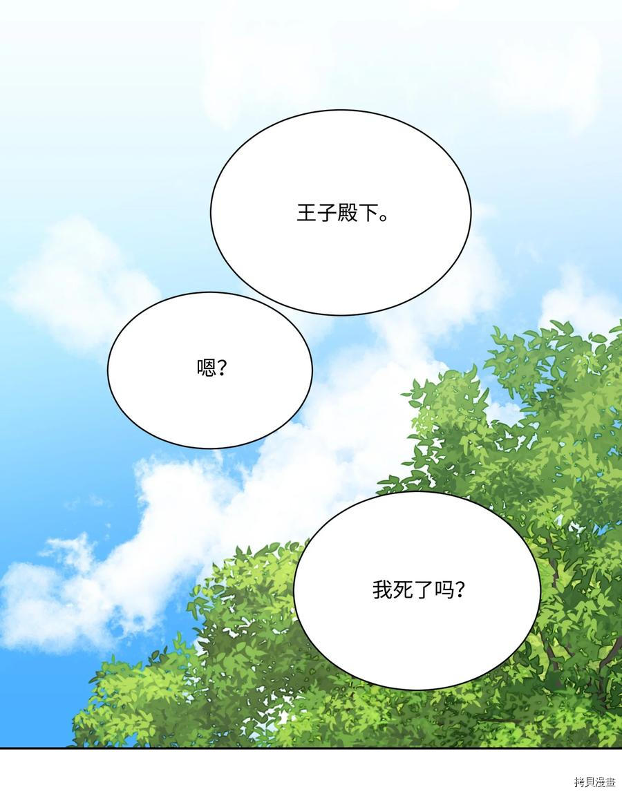 影子王冠[拷贝漫画]韩漫全集-第28话无删减无遮挡章节图片 