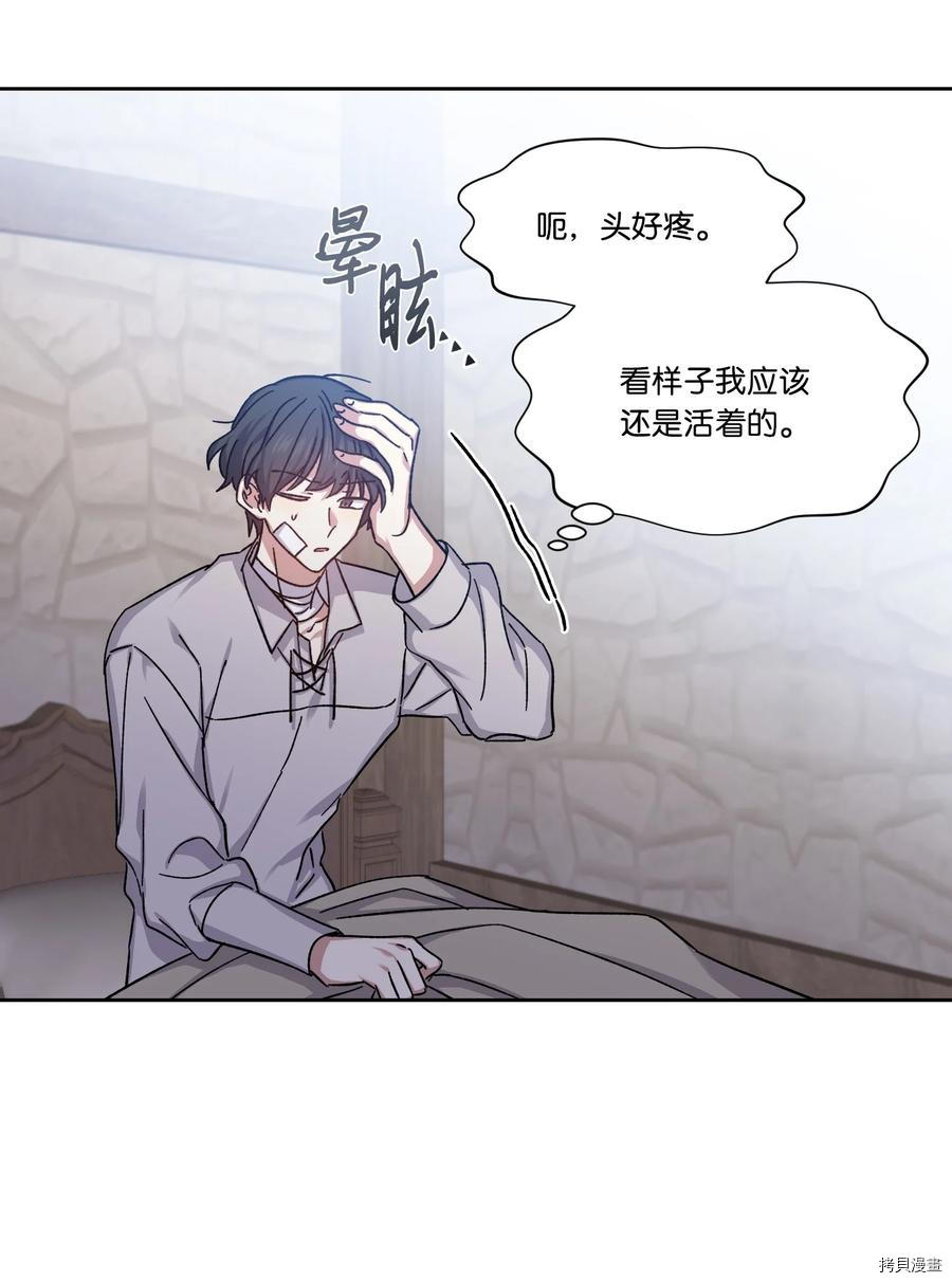 影子王冠[拷贝漫画]韩漫全集-第28话无删减无遮挡章节图片 