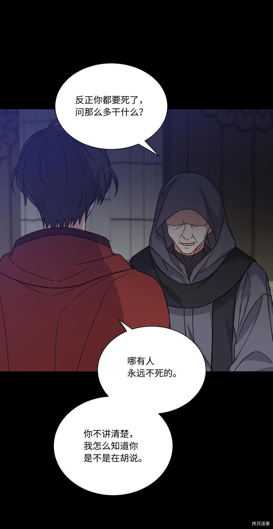 影子王冠[拷贝漫画]韩漫全集-第33话无删减无遮挡章节图片 