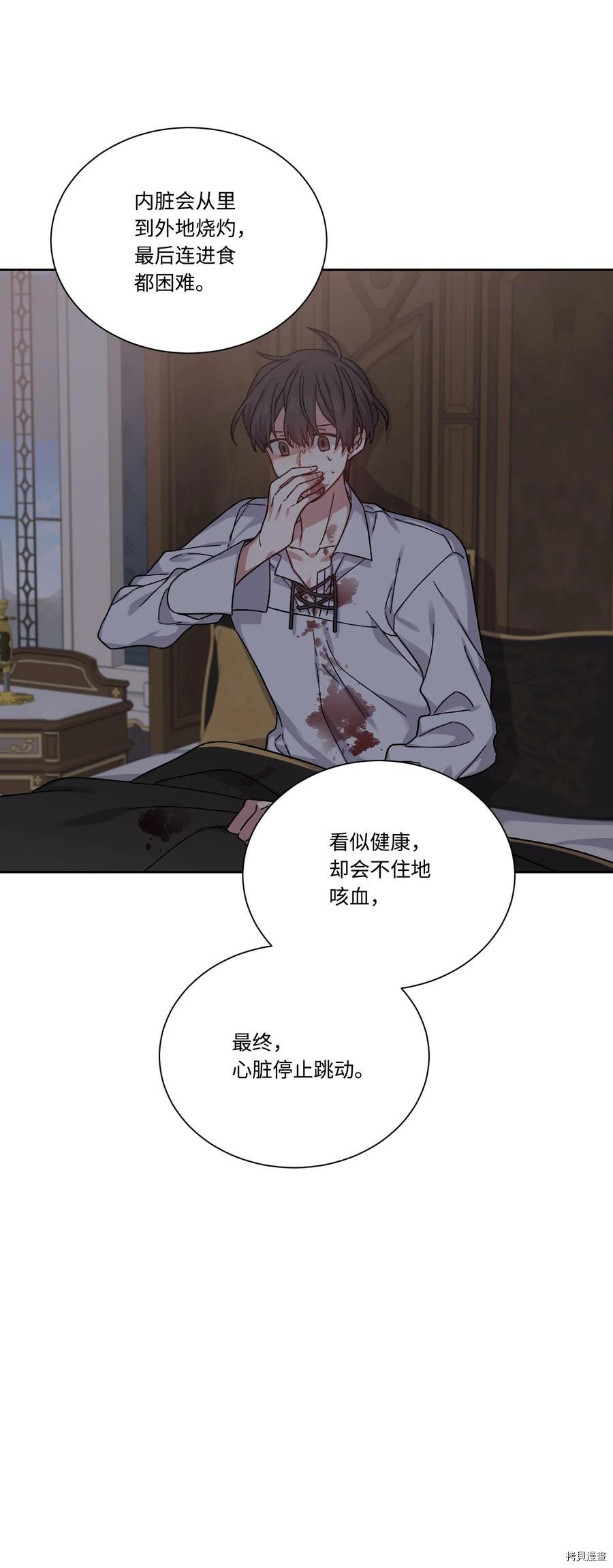 影子王冠[拷贝漫画]韩漫全集-第33话无删减无遮挡章节图片 