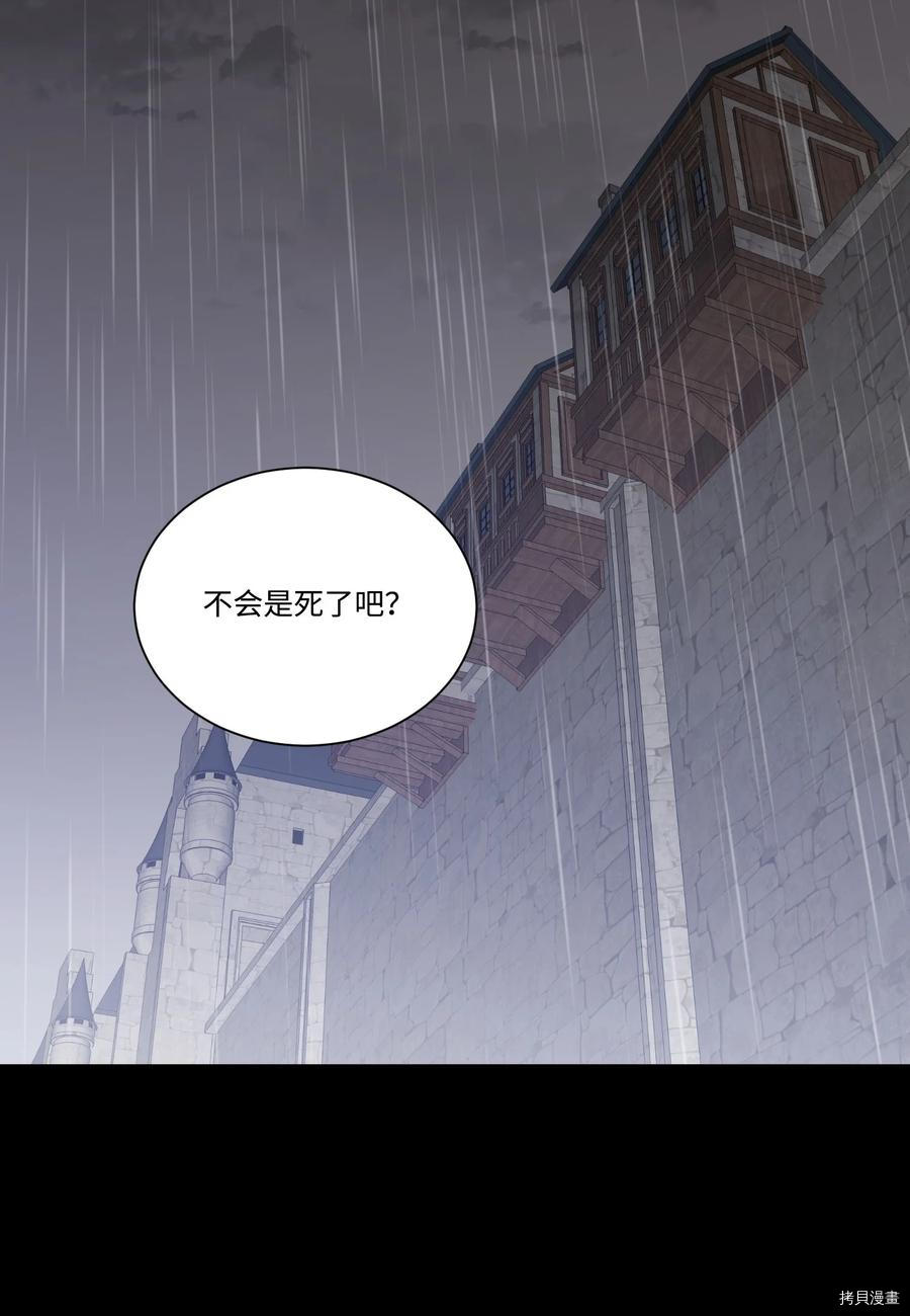 影子王冠[拷贝漫画]韩漫全集-第33话无删减无遮挡章节图片 