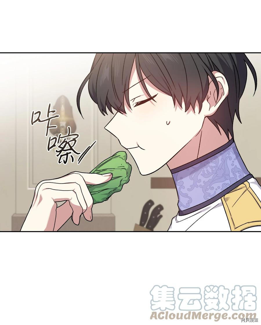 影子王冠[拷贝漫画]韩漫全集-第38话无删减无遮挡章节图片 