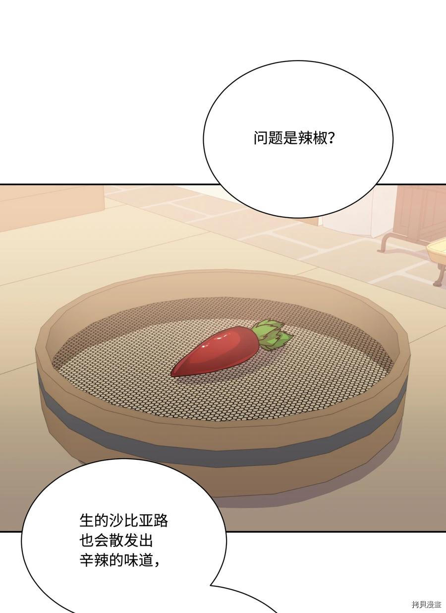 影子王冠[拷贝漫画]韩漫全集-第39话无删减无遮挡章节图片 