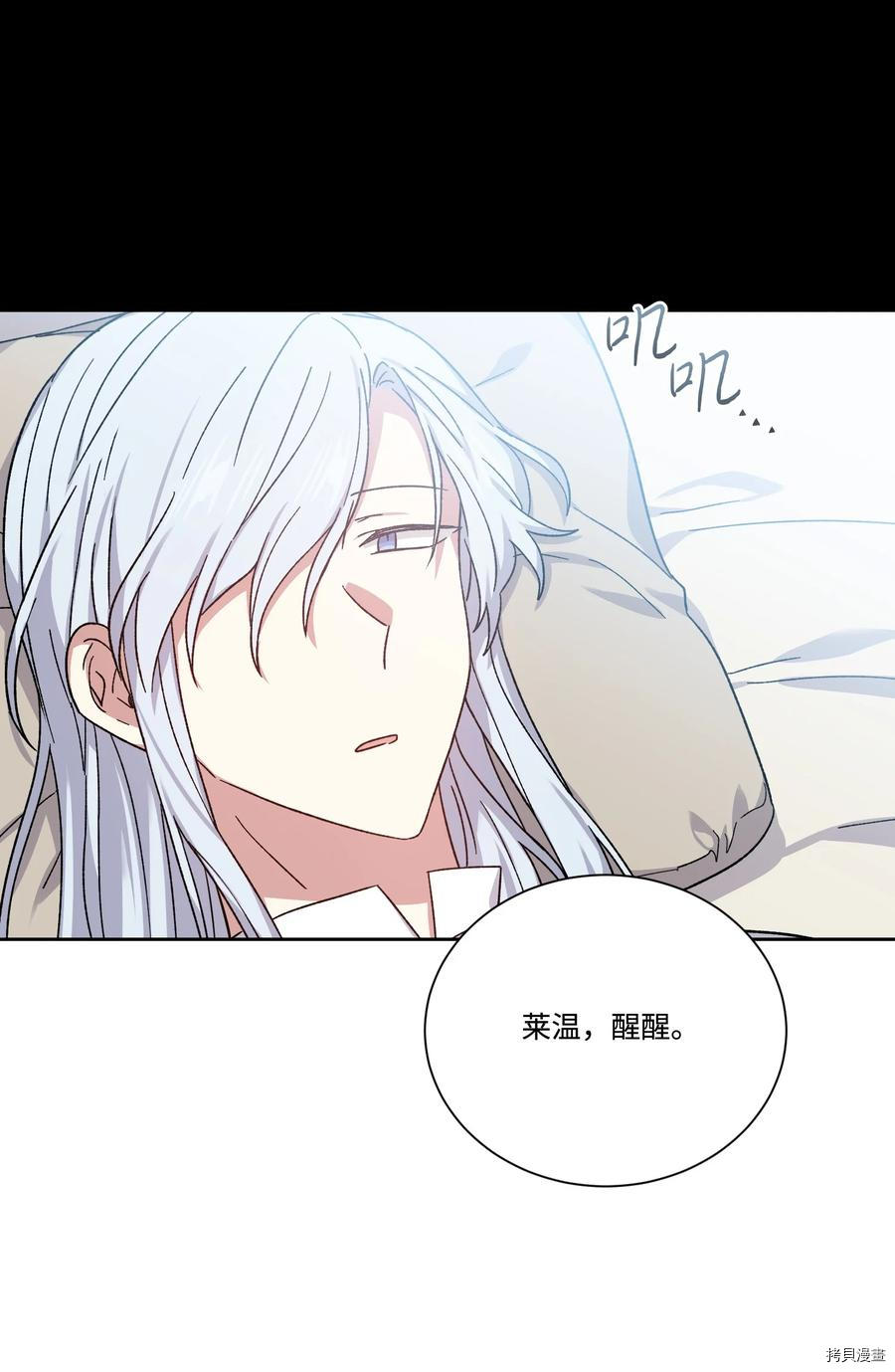 影子王冠[拷贝漫画]韩漫全集-第40话无删减无遮挡章节图片 