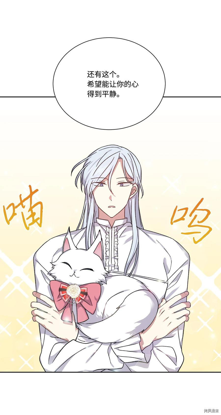 影子王冠[拷贝漫画]韩漫全集-第40话无删减无遮挡章节图片 
