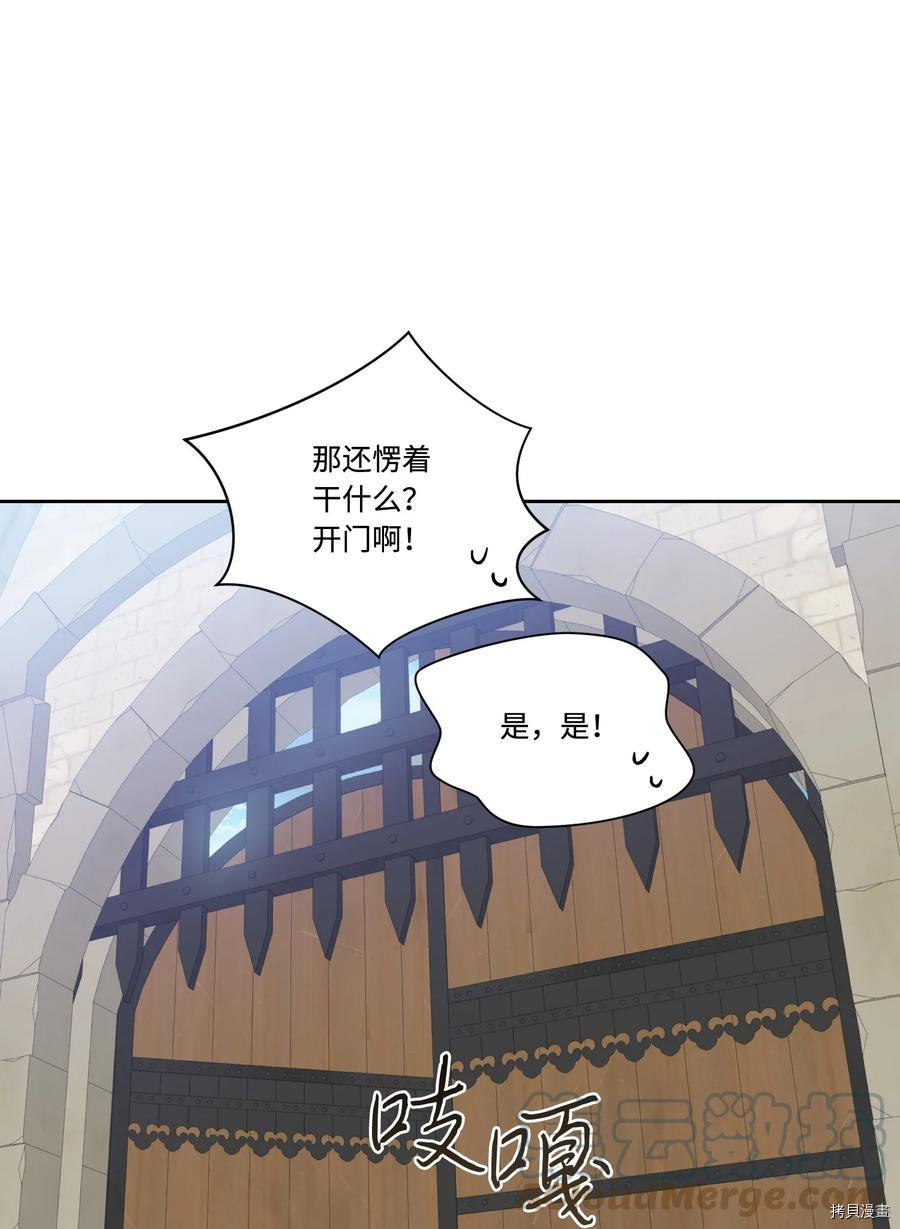 影子王冠[拷贝漫画]韩漫全集-第41话无删减无遮挡章节图片 