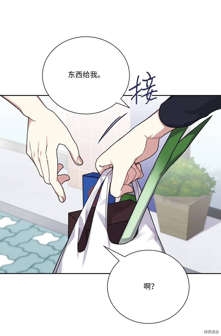 影子王冠[拷贝漫画]韩漫全集-第48话无删减无遮挡章节图片 
