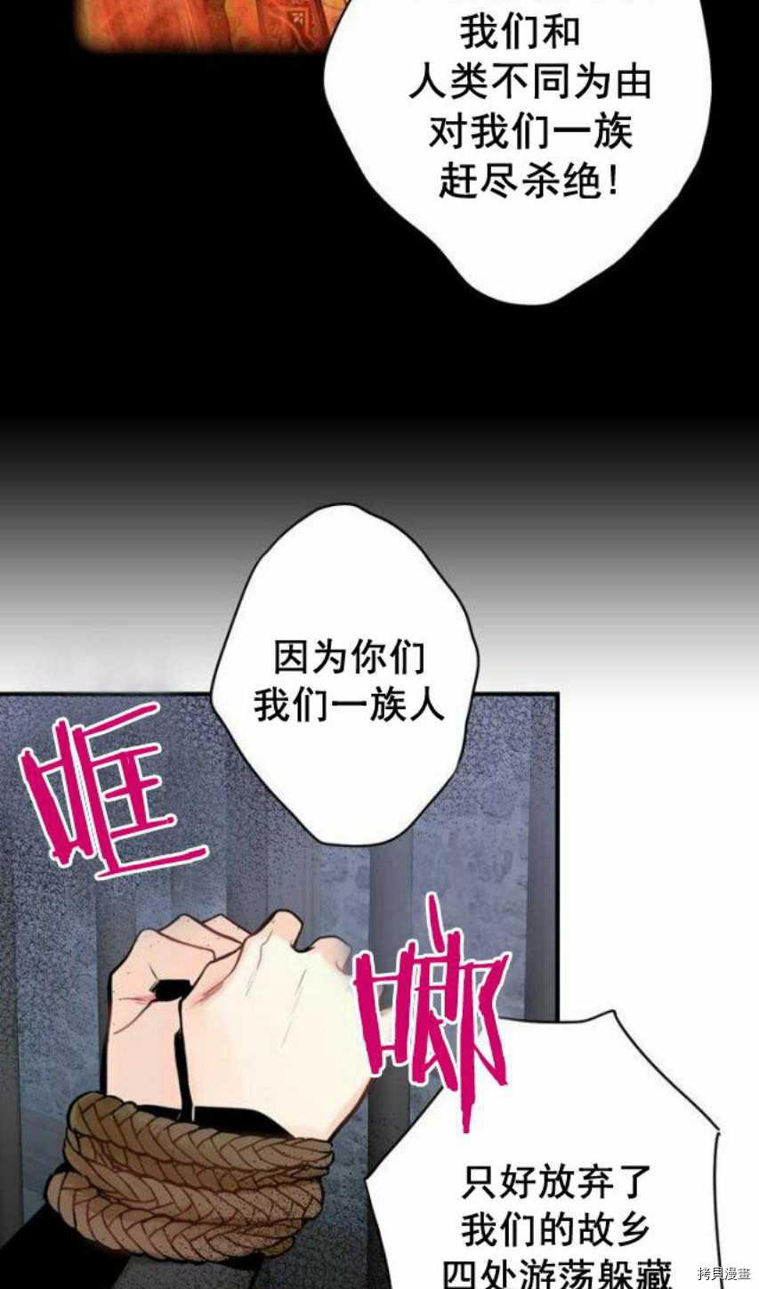 主人公妻子的生存法则[拷贝漫画]韩漫全集-第47话无删减无遮挡章节图片 