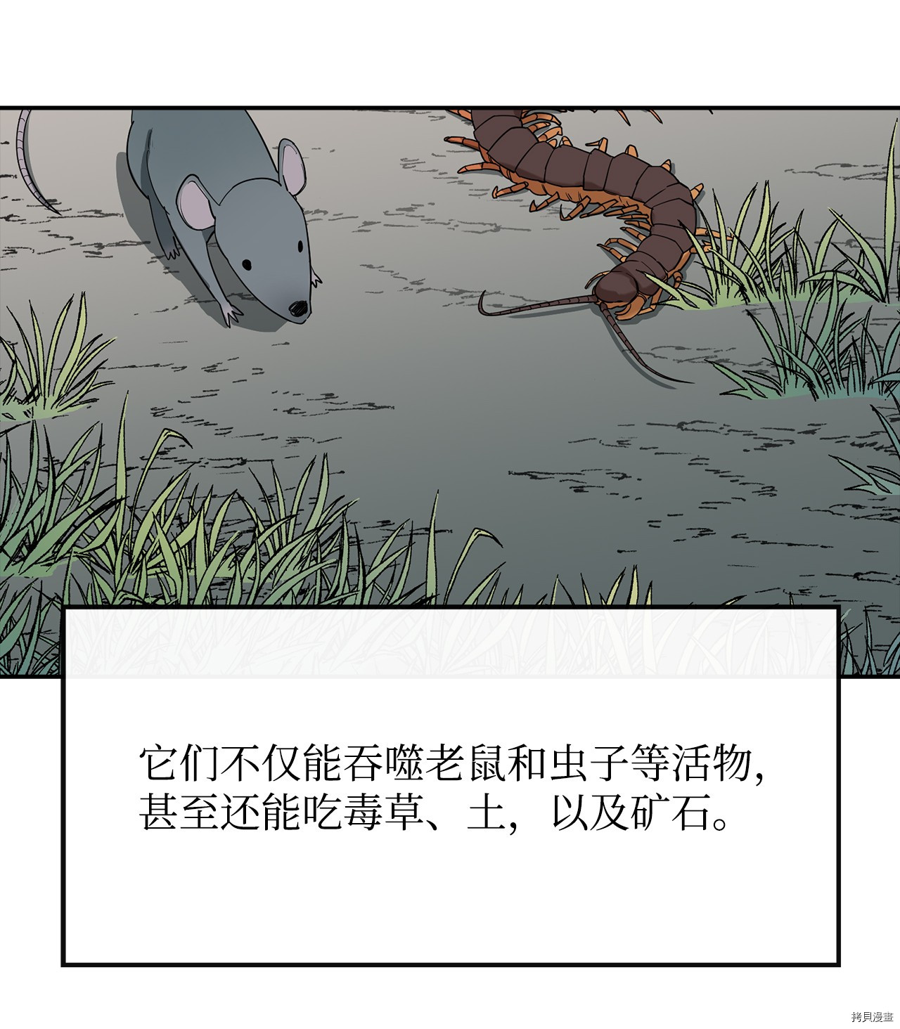 最强饭桶[拷贝漫画]韩漫全集-第6话无删减无遮挡章节图片 