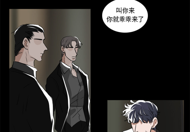 Queen[抖漫]韩漫全集-Queen-第 2 章无删减无遮挡章节图片 