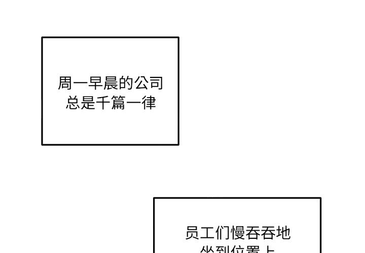 职场生存日志[抖漫]韩漫全集-职场生存日志-第 19 章无删减无遮挡章节图片 
