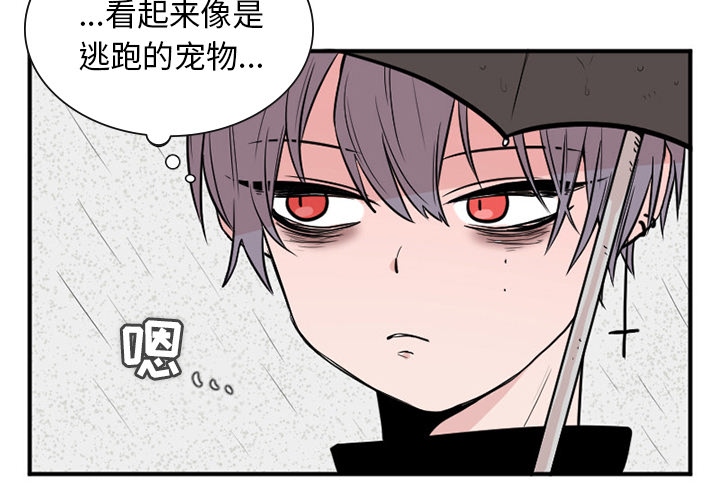 MAYA[抖漫]韩漫全集-MAYA-第 2 章无删减无遮挡章节图片 