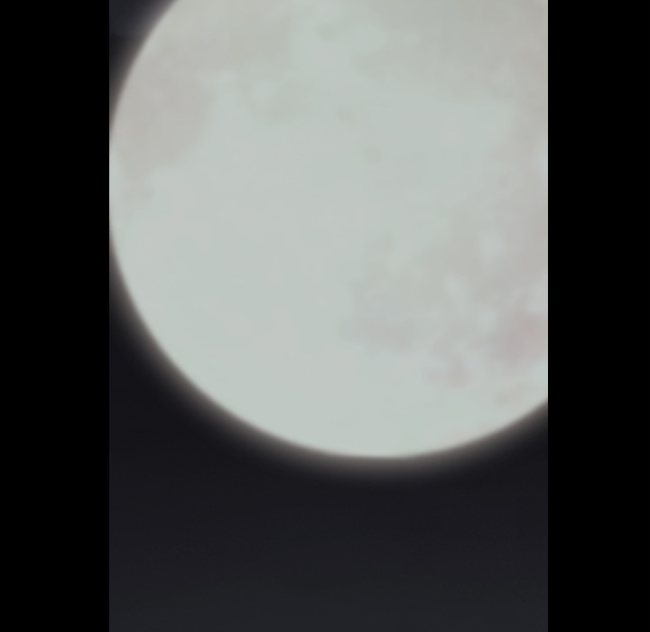 枷锁[抖漫]韩漫全集-枷锁-第 60 章无删减无遮挡章节图片 