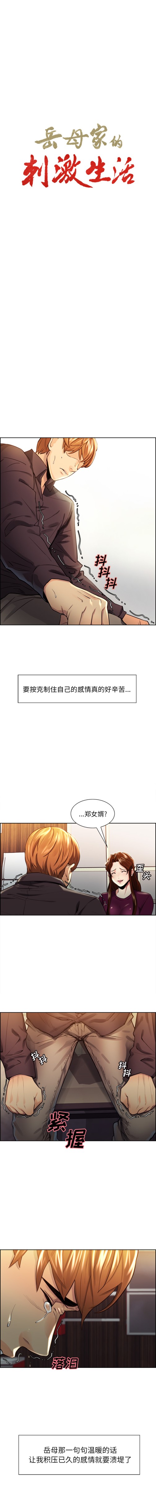 岳母家的刺激生活[抖漫]韩漫全集-岳母家的刺激生活-第 30 章无删减无遮挡章节图片 