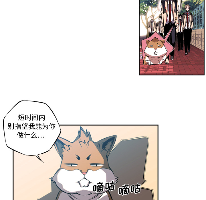 少年的新星[抖漫]韩漫全集-少年的新星-第 3 章无删减无遮挡章节图片 