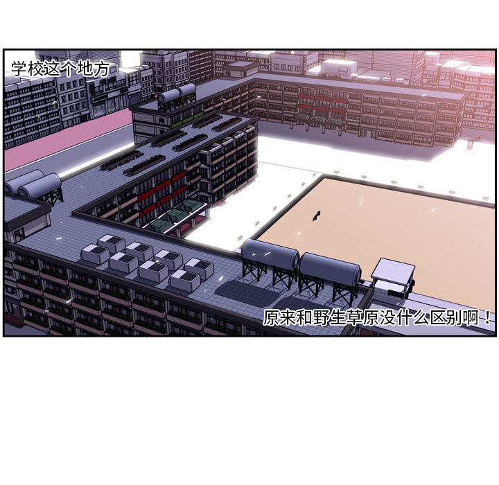 少年的新星[抖漫]韩漫全集-少年的新星-第 5 章无删减无遮挡章节图片 