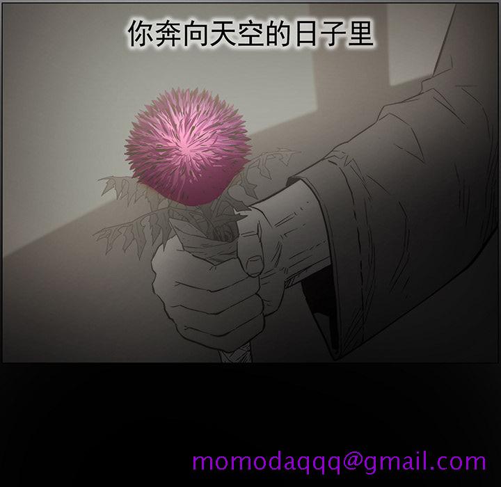 战斗风筝[抖漫]韩漫全集-战斗风筝-第 19 章无删减无遮挡章节图片 