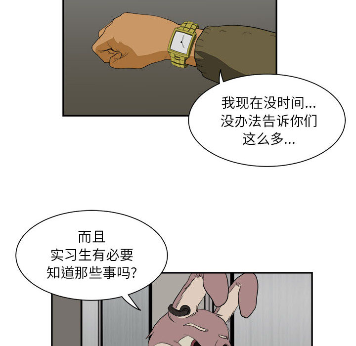 求职地狱生存录[抖漫]韩漫全集-求职地狱生存录-第 5 章无删减无遮挡章节图片 