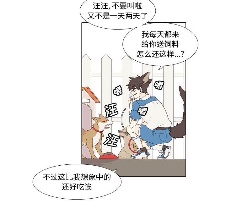 野性之城[抖漫]韩漫全集-野性之城-第 1 章无删减无遮挡章节图片 