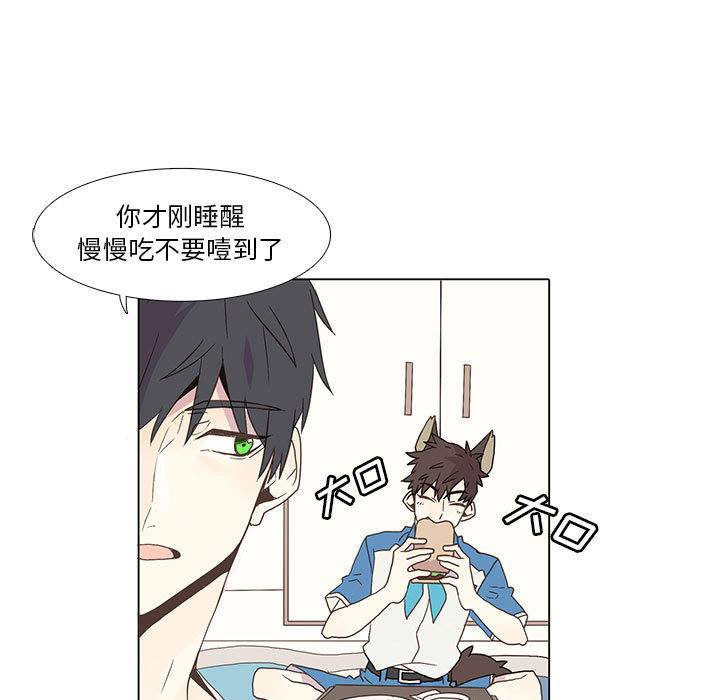 野性之城[抖漫]韩漫全集-野性之城-第 2 章无删减无遮挡章节图片 