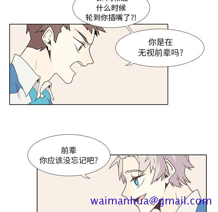 野性之城[抖漫]韩漫全集-野性之城-第 2 章无删减无遮挡章节图片 
