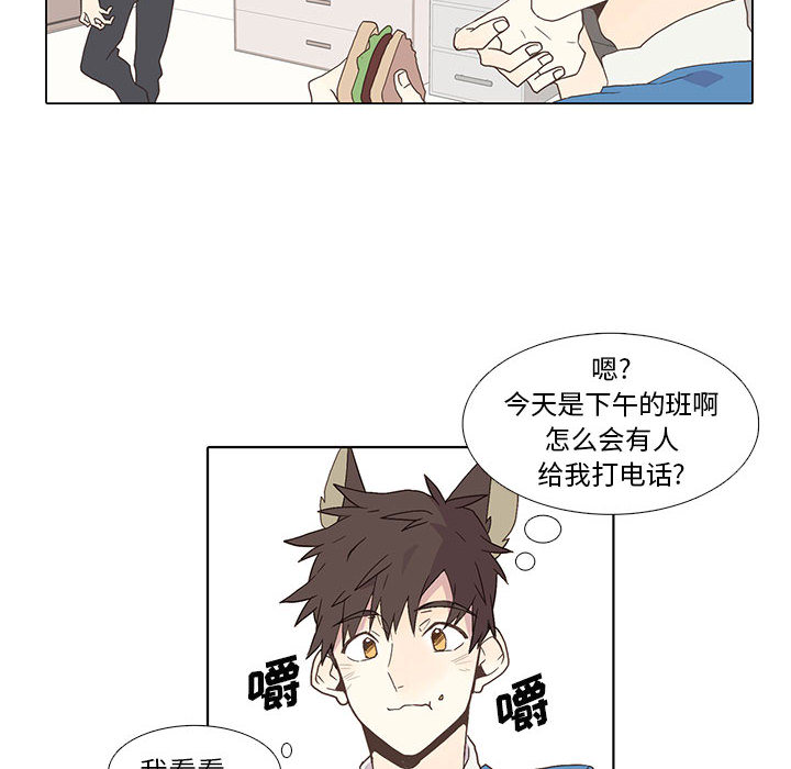 野性之城[抖漫]韩漫全集-野性之城-第 2 章无删减无遮挡章节图片 
