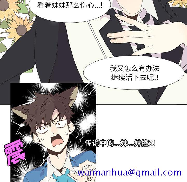 野性之城[抖漫]韩漫全集-野性之城-第 3 章无删减无遮挡章节图片 
