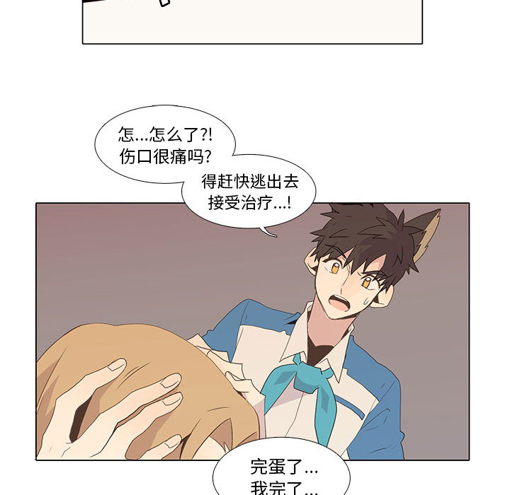 野性之城[抖漫]韩漫全集-野性之城-第 6 章无删减无遮挡章节图片 