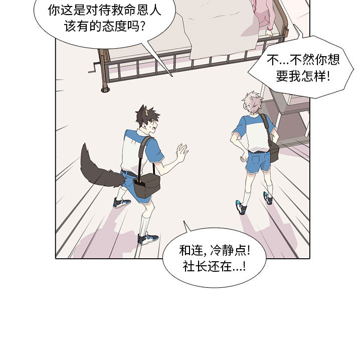 野性之城[抖漫]韩漫全集-野性之城-第 9 章无删减无遮挡章节图片 