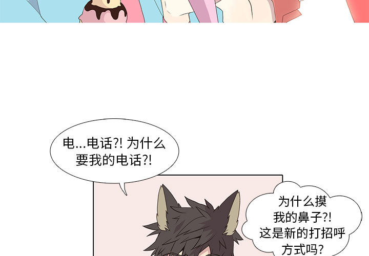 野性之城[抖漫]韩漫全集-野性之城-第 13 章无删减无遮挡章节图片 